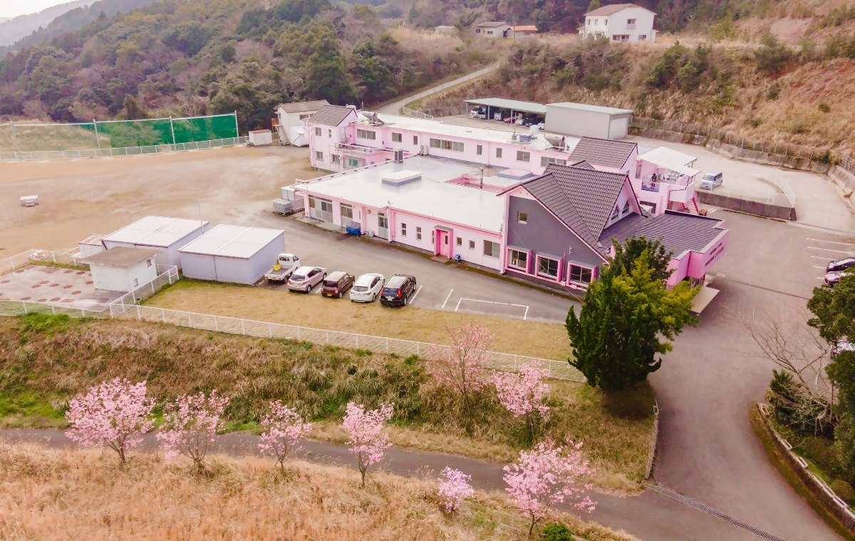 こざくら