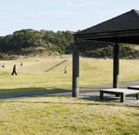 33°元気ランド