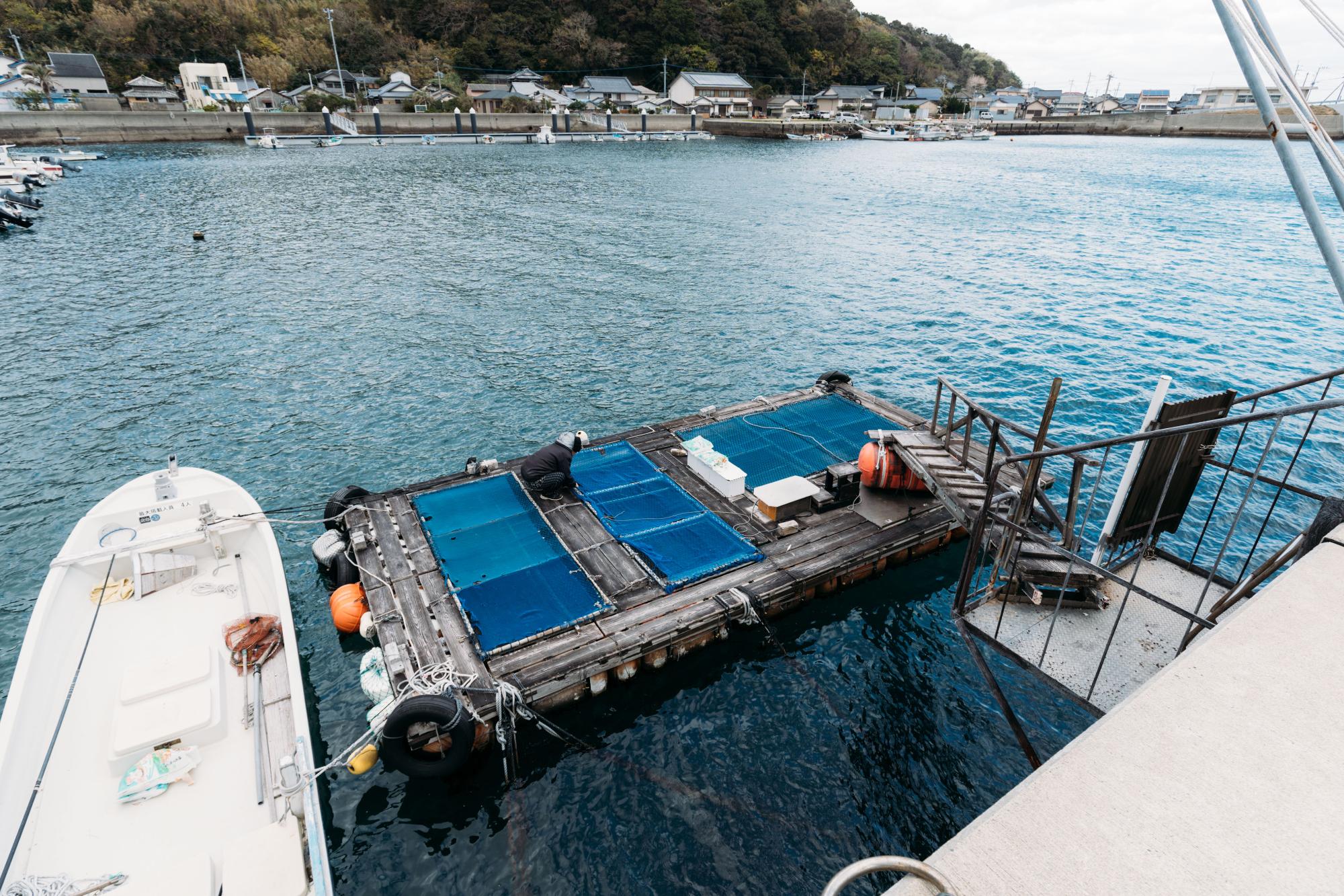 海上の生簀の写真