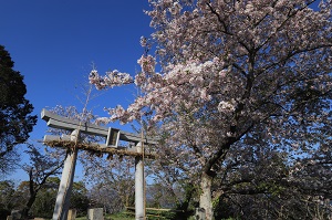 琴平神社