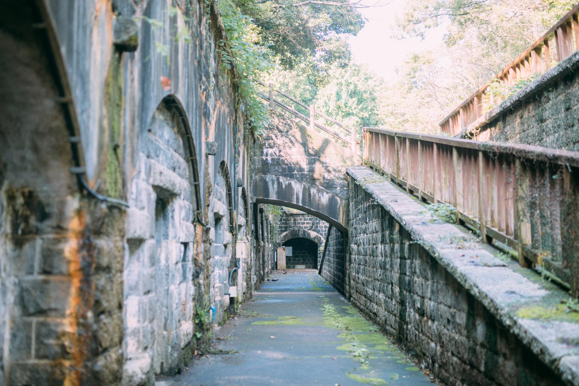 石原岳森林公園