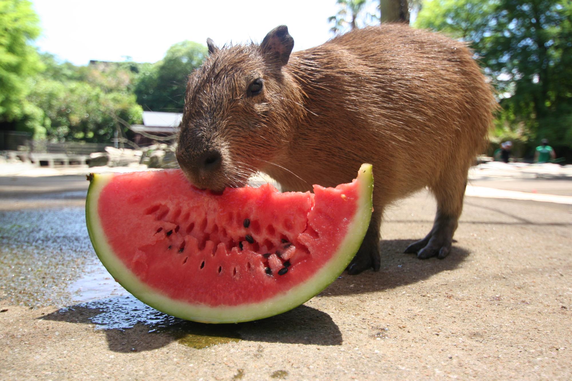 バイオパーク