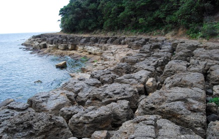 石を敷き詰めたような海岸の写真