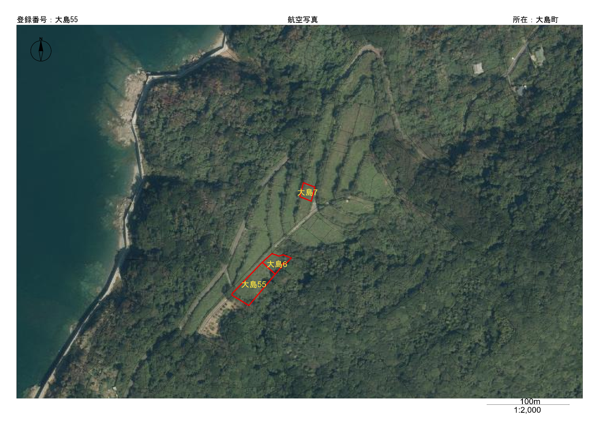 大島55