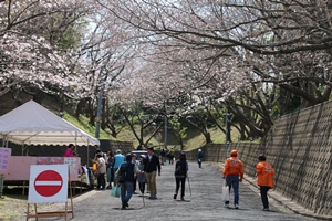桜阪入口の写真