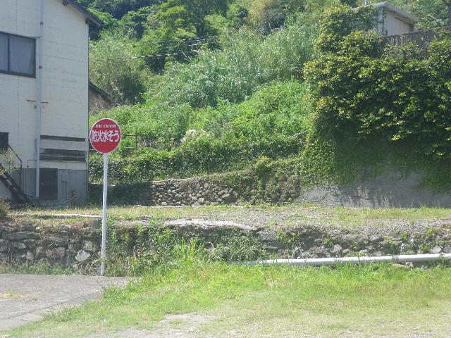 濱中写真1