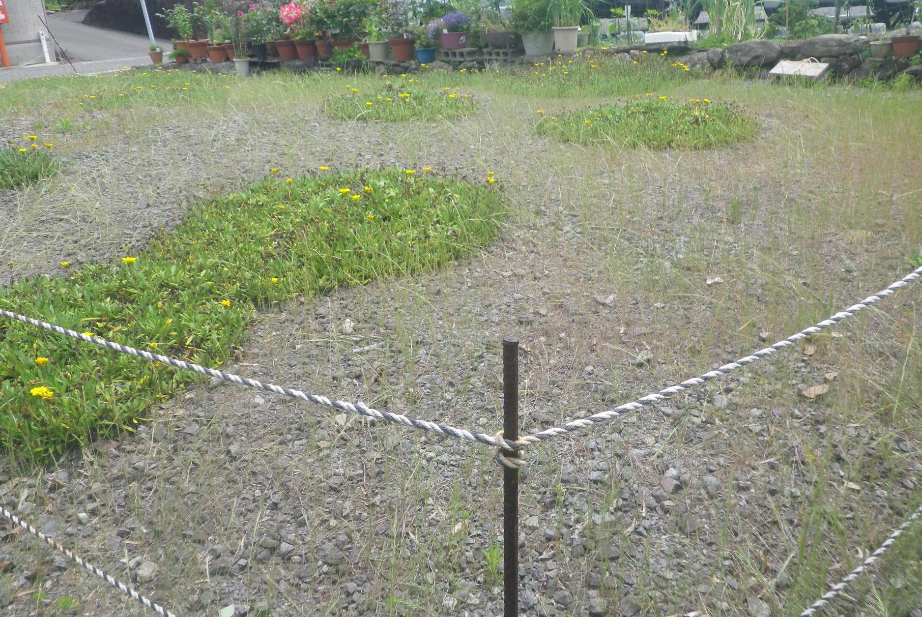 小村24