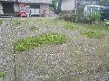 小村一覧用写真11