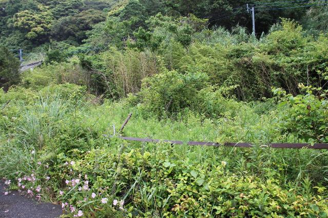 崎戸町蠣浦郷1668-1空き地写真1