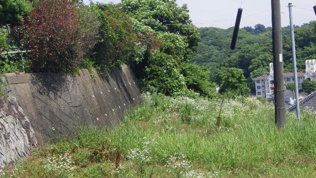 坂口空き地4