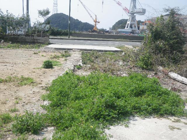 新川邸9