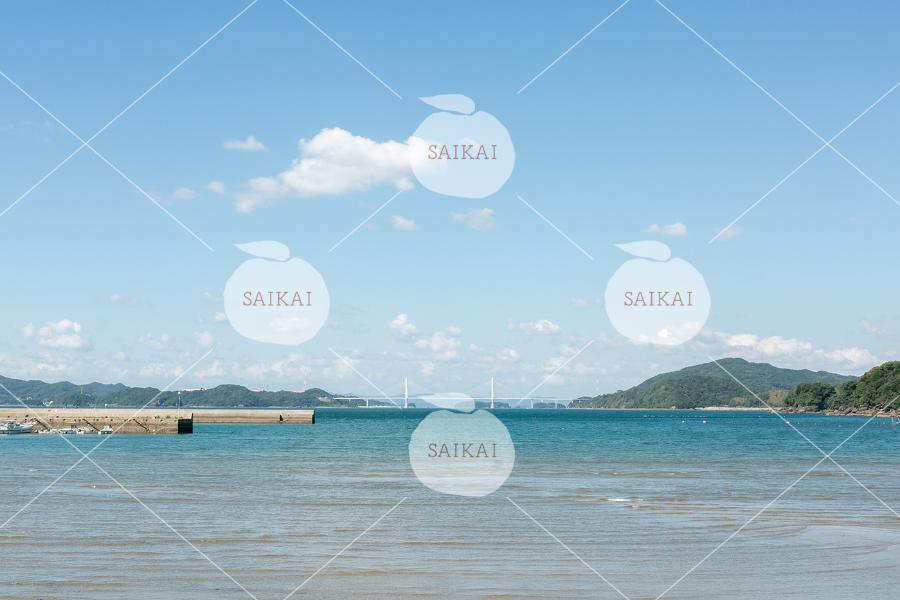 柳の浜海岸の写真